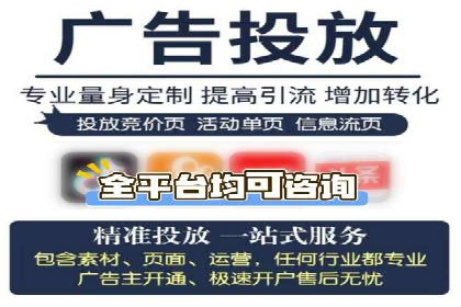 行业标杆：SEM推广代运营成功案例